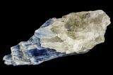 Vibrant Blue Kyanite Crystals In Quartz - Brazil #113465-1